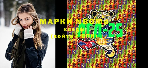 стафф Аркадак