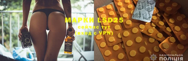 стафф Аркадак