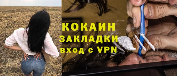 спайс Арсеньев