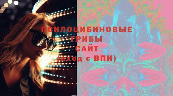 сатива Баксан